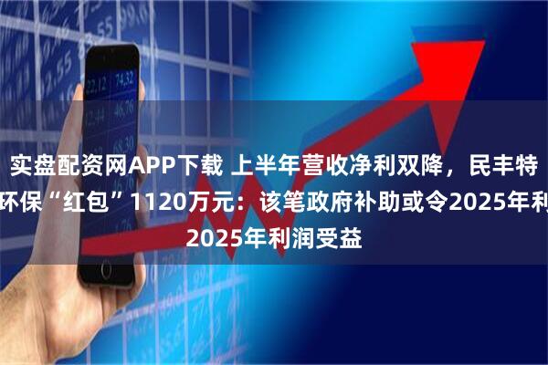 实盘配资网APP下载 上半年营收净利双降,民丰特纸喜收环保“红包”1120万元:该笔政府补助或令2025年利润受益
